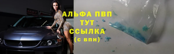 винт Белокуриха